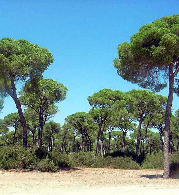 Brisas Del Guadalquivir Villa Sanlúcar de Barrameda Kültér fotó